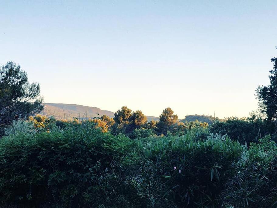 Entre Ventoux Et Luberon, Dans Maison.