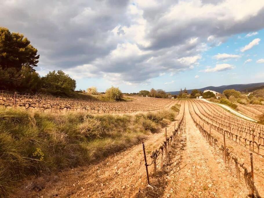 Entre Ventoux Et Luberon, Dans Maison. Appartement *